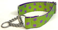 Lime Green with Purple Dots Chain Martingale Collar 1 1/2 in