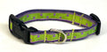 Lime Green with Purple Square Dots Dog Collar 1/2