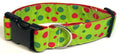 Lime Green with Red and Green Bubble Dots Dog Collar 1 1/2 in