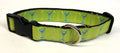 Lime Green with Turquoise Martini Glasses Dog Collar 1in