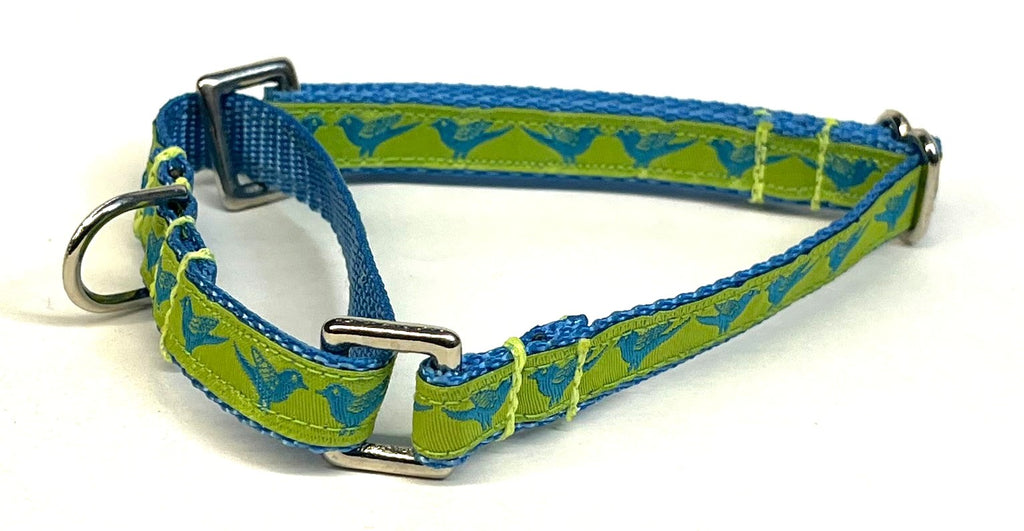 Lime Green with Turquoise Birds Martingale Collar 1/2