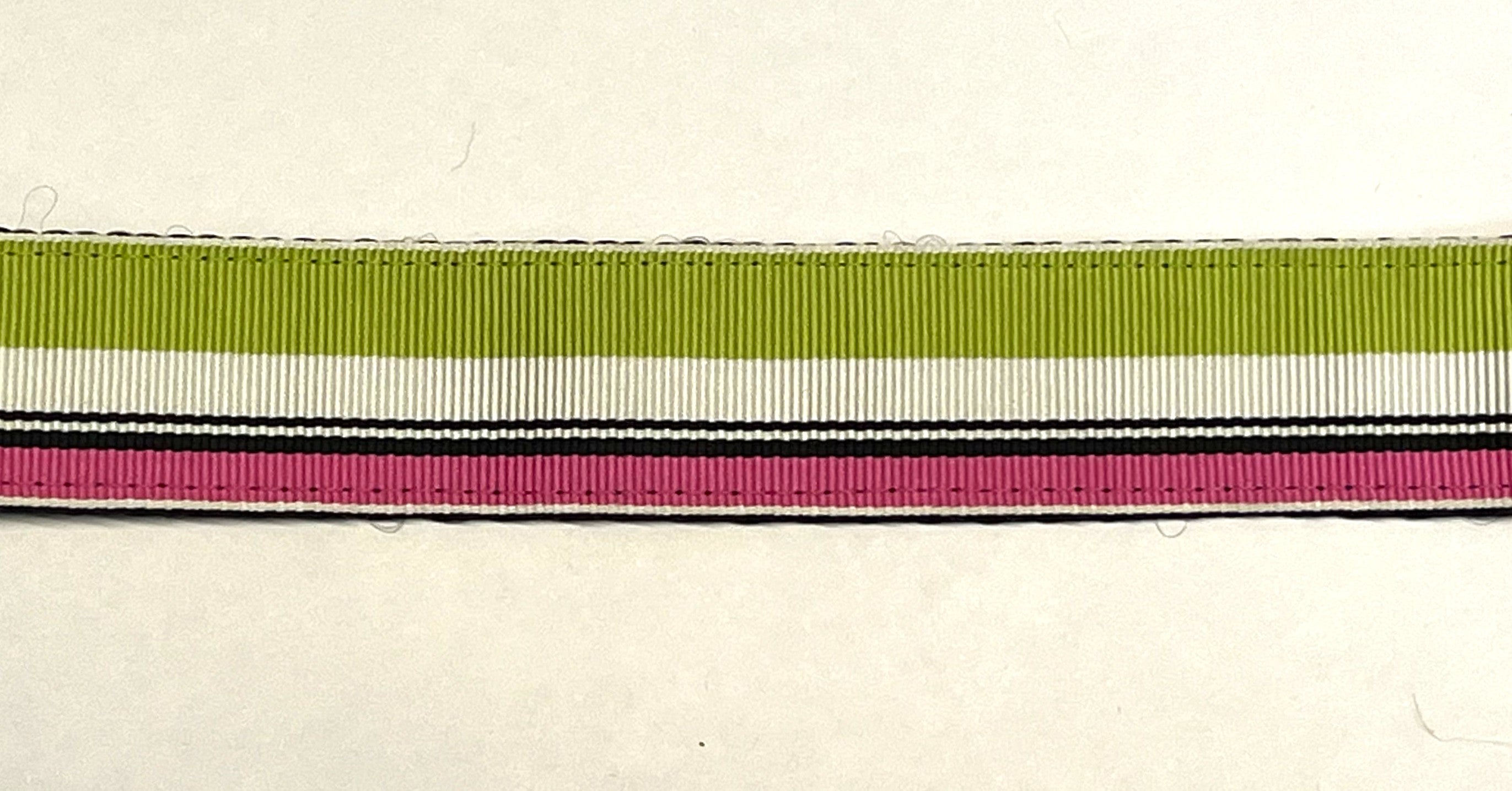 Lime Green, White, Black, and Pink Stripes Dog Leash 1in