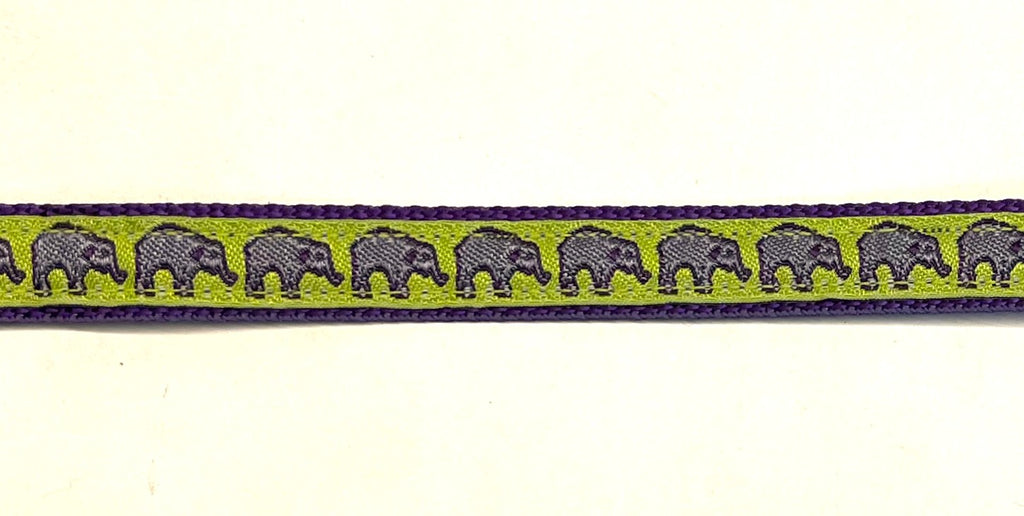 Lime Green with Lavender Elephants Dog Collar 1/2 inch