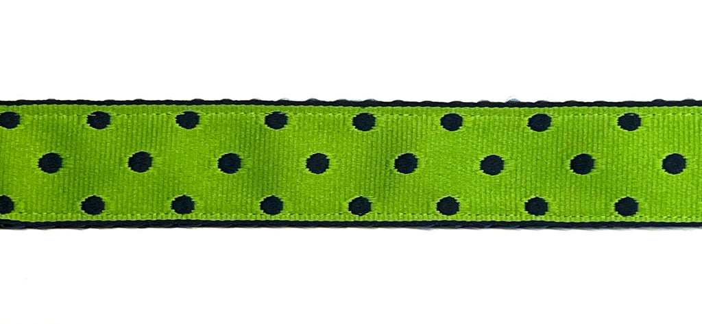 Lime Green with Navy Polka Dots Dog Collar 1in