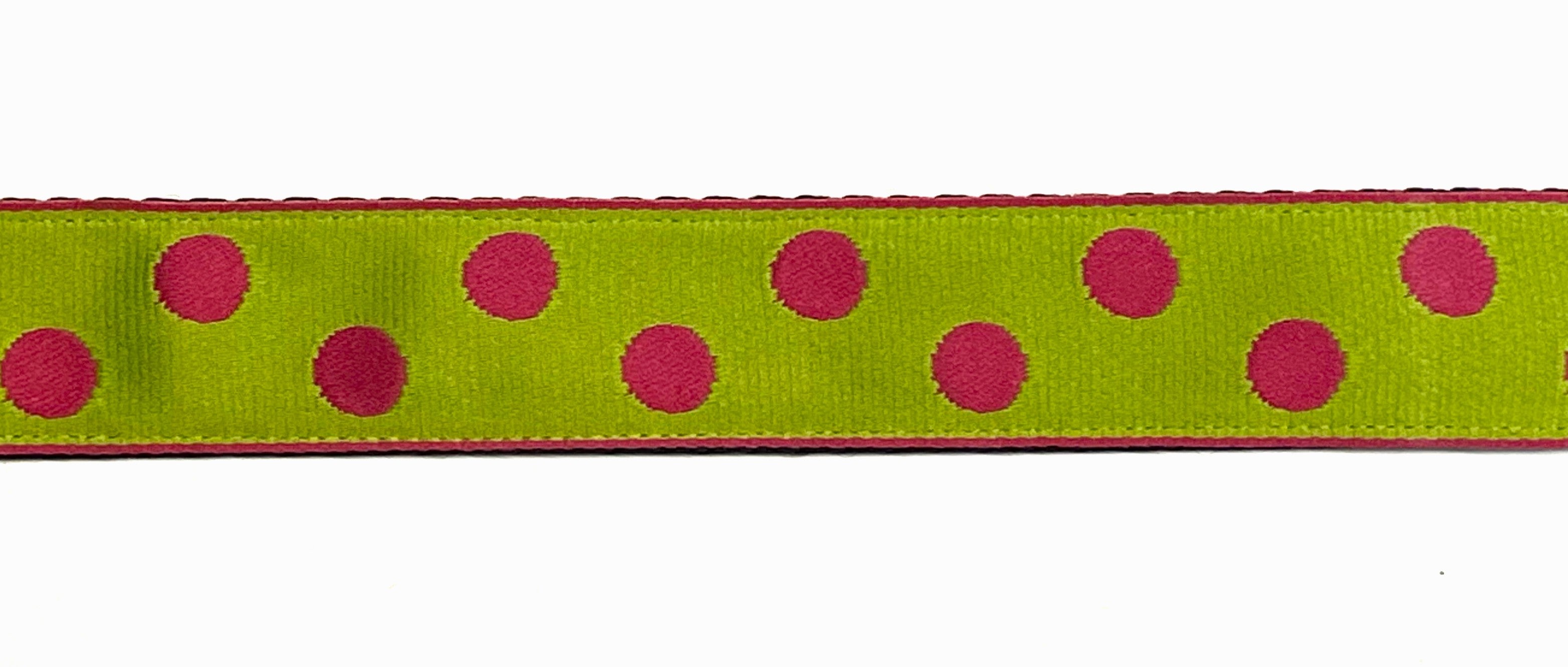 Lime Green with Pink Dots Dog Leash 1in