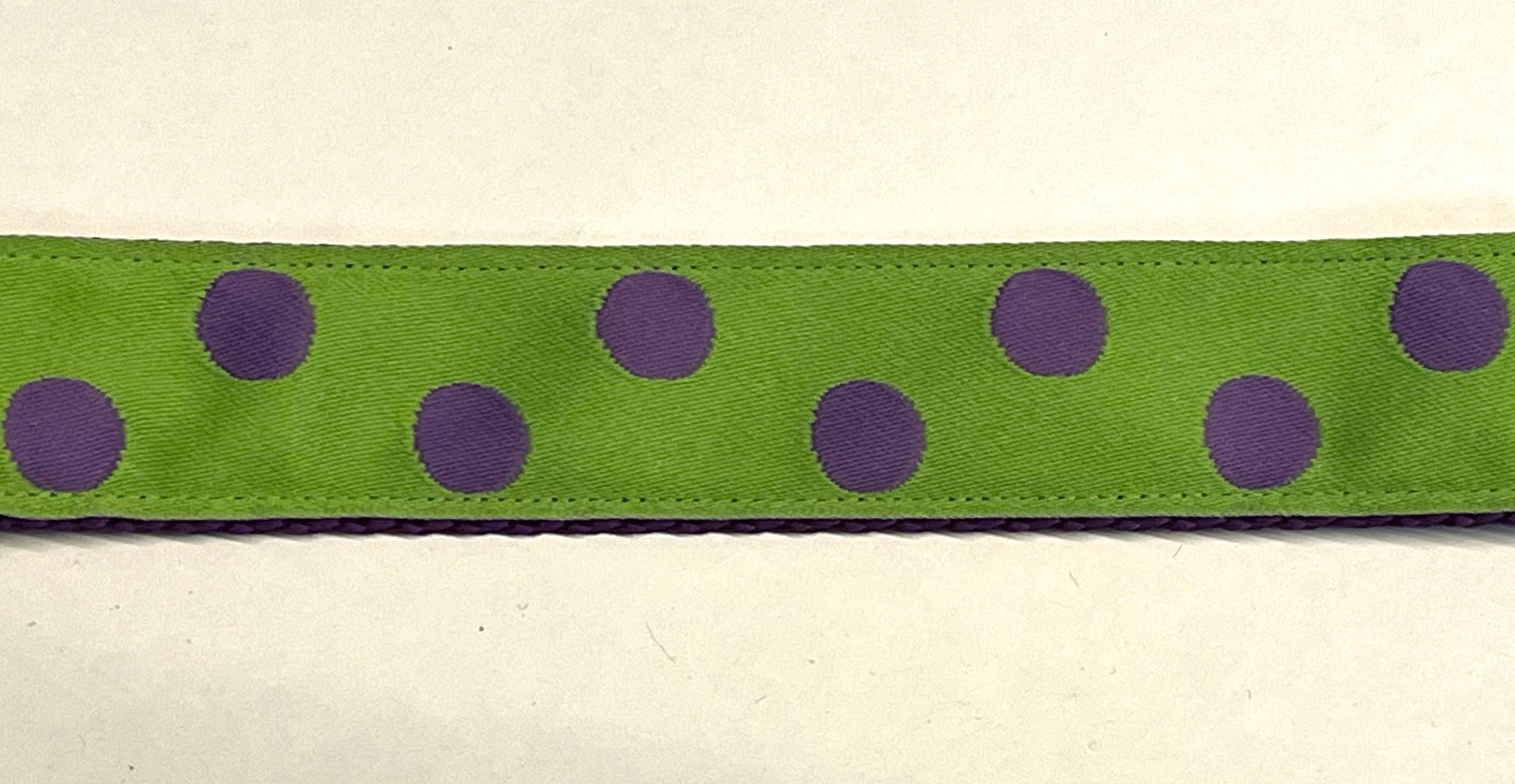 Lime Green with Purple Dots Dog Leash 1in