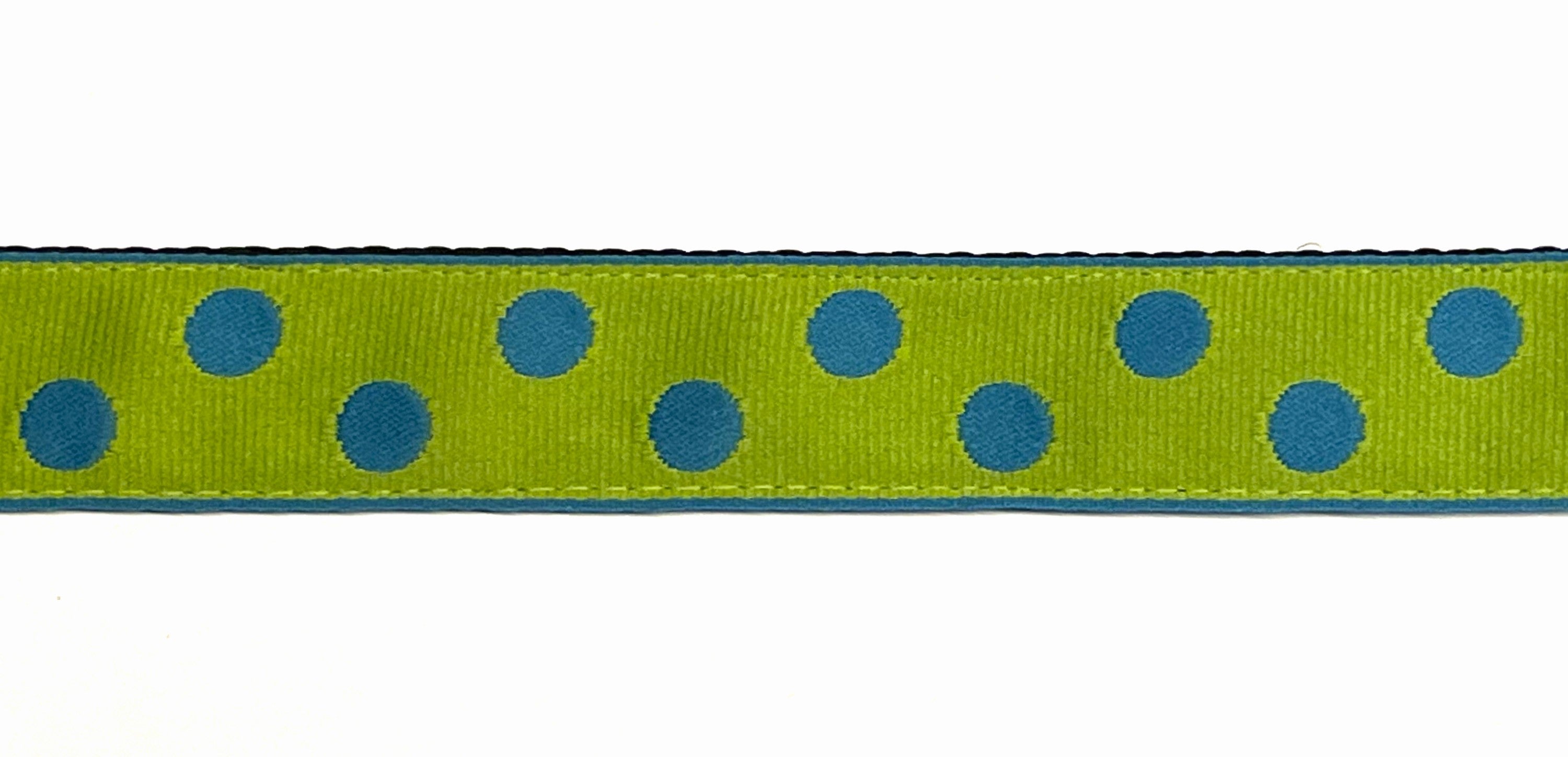 Lime Green with Turquoise Dots Dog Leash 1in