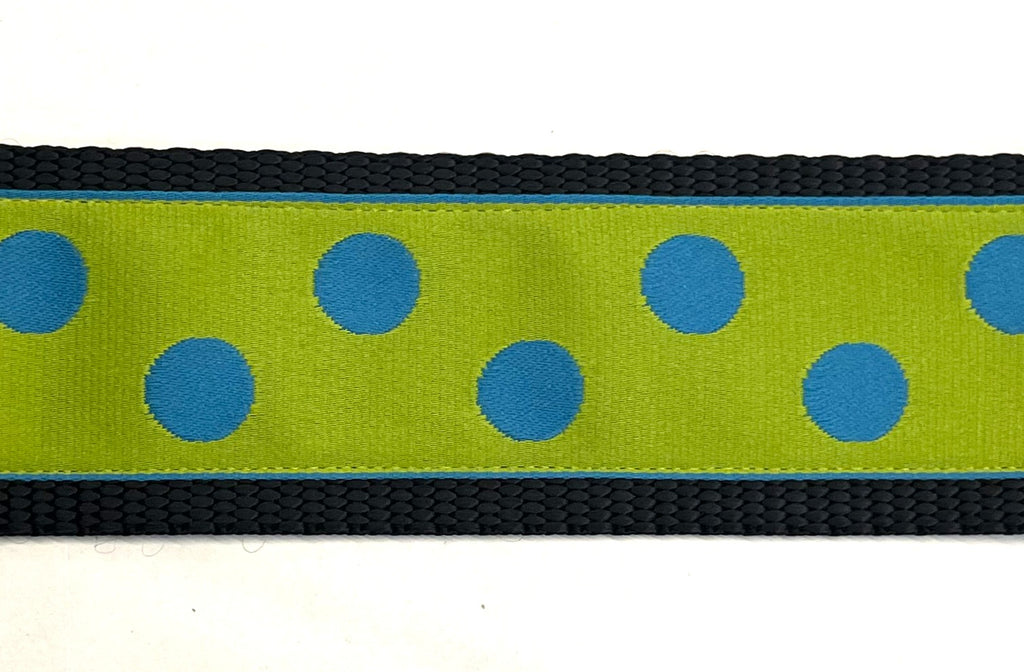 Lime Green with Turquoise Dots Dog Collar 2in