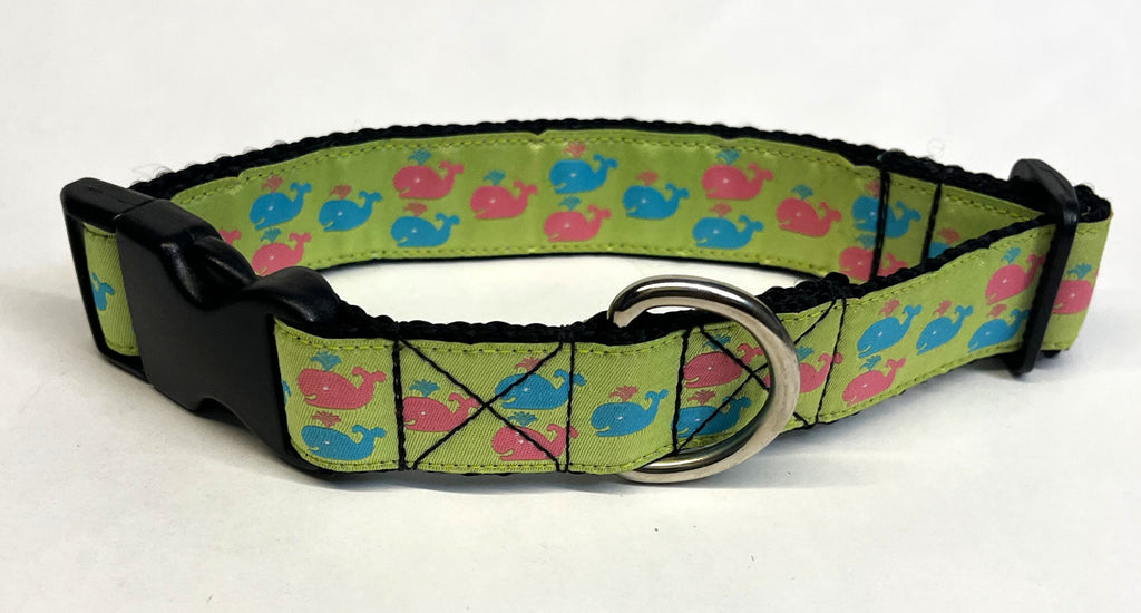 Lime Green with Pink and Blue Whales Dog Collar 1in