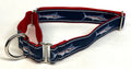 Navy with Swordfish Martingale Collar 1in
