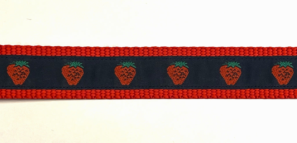 Navy with Strawberries Dog Leash 1in