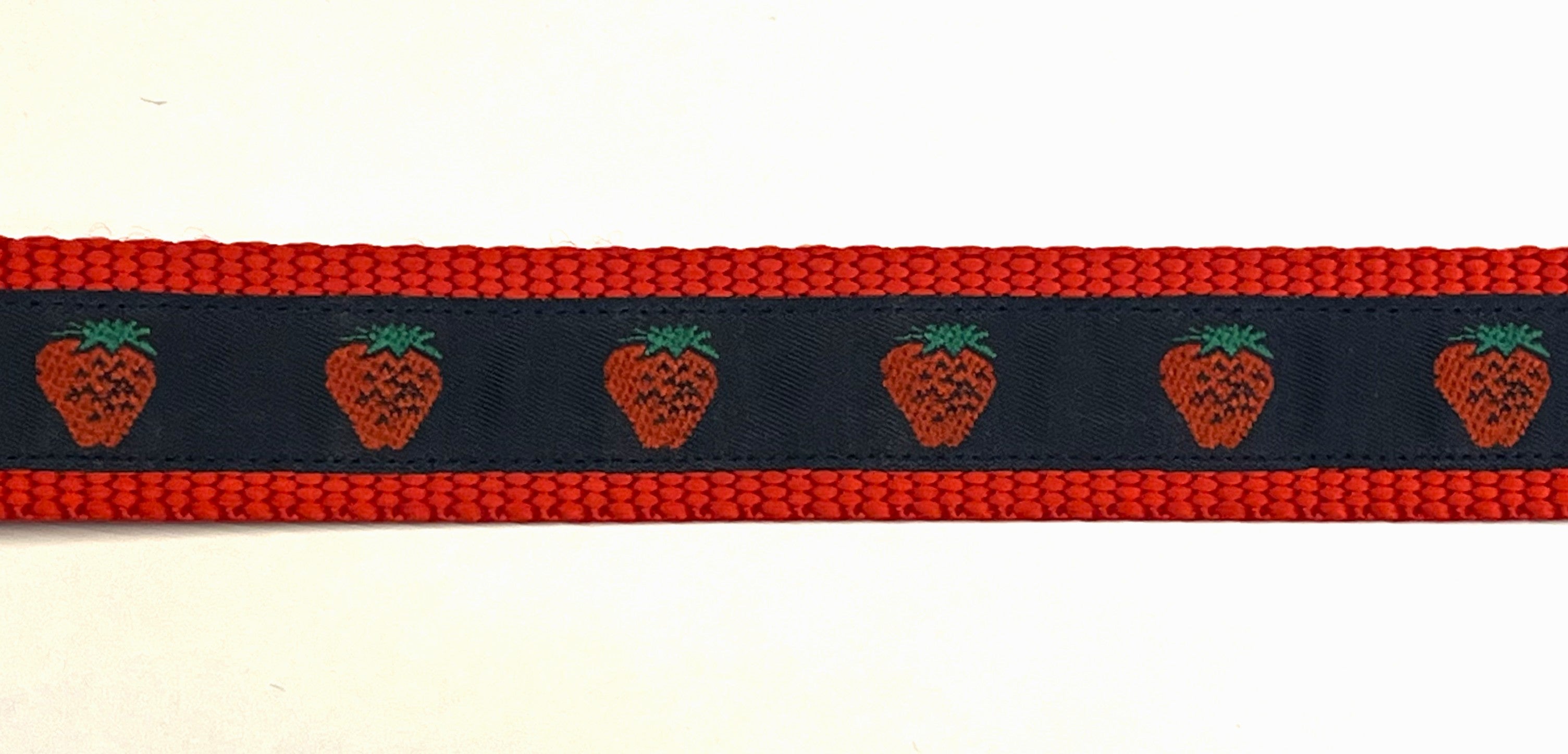 Navy with Strawberries Dog Collar 1in