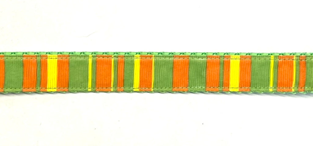 Orange, Green, Yellow Vertical Stripe Dog Leash 3/4