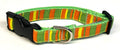Orange, Green, Yellow Vertical Stripe Dog Collar 3/4