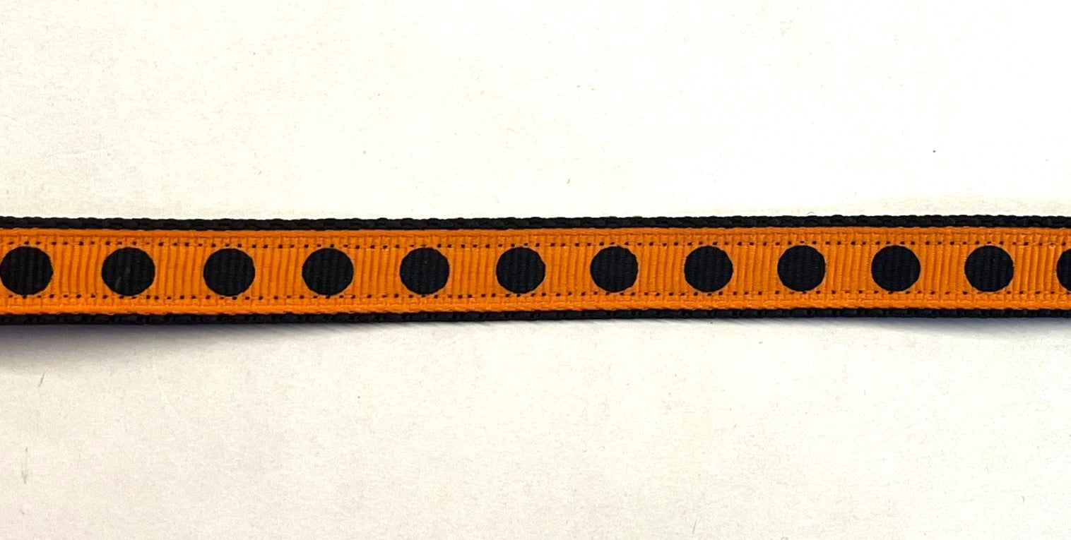 Orange ribbon with black dots on black webbing dog collar