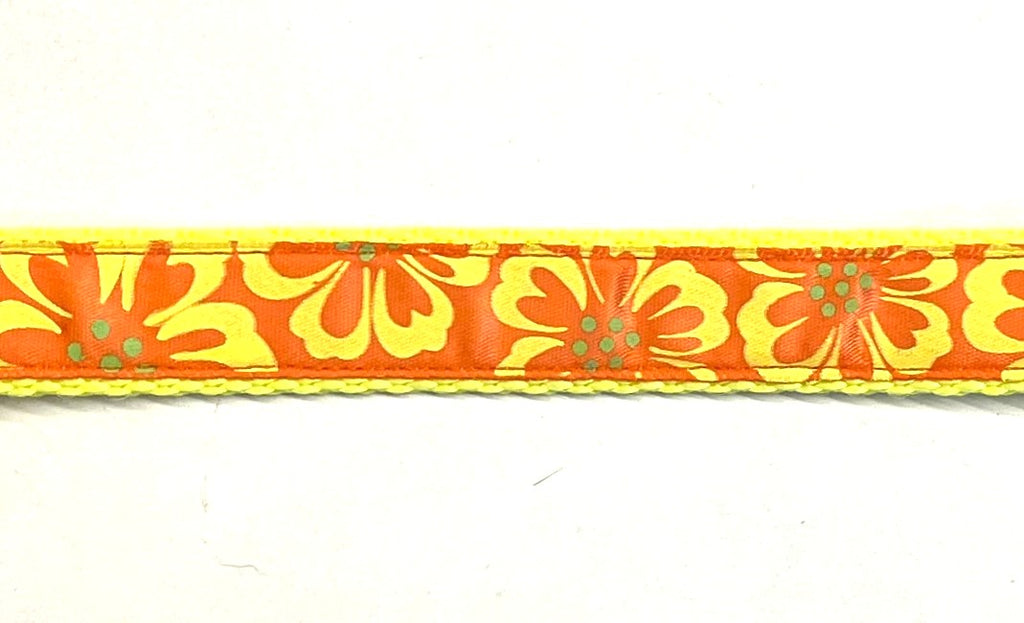 Orange with yellow hibiscus flowers dog collar 3/4 inch on yellow webbing