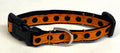 Orange with Black Dots Dog Collar 1/2