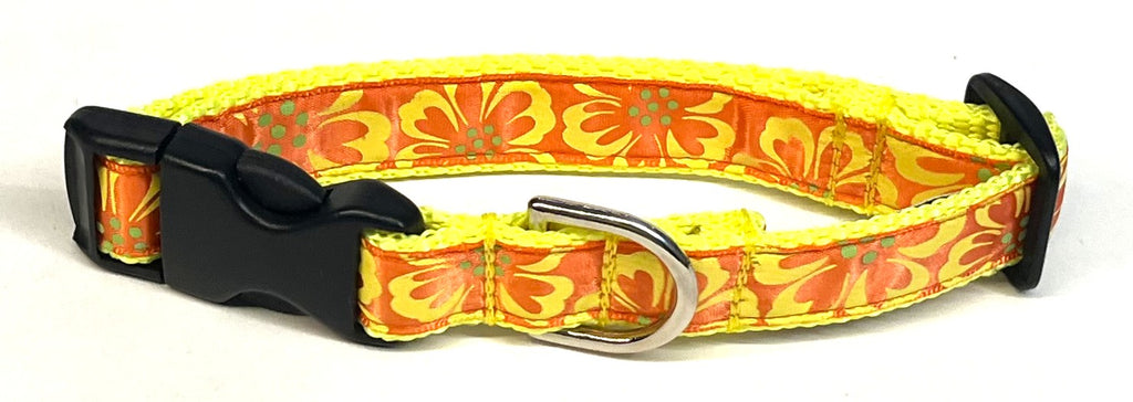 Orange with Yellow Hibiscus Flowers Dog Collar 3/4