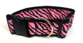 Pink Zebra Print Dog Collar 2in