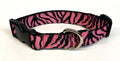 Pink Zebra Print Dog Collar 1in