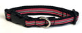 Pink, Black, and White Stripe Dog Collar 3/4