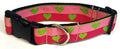 Pink and Dark Pink with Lime Green Hearts Dog Collar 1 1/2 in
