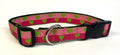 Pink and Dark Pink with Green Hearts Dog Collar 1in