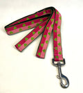 Pink and Dark Pink with Green Hearts Dog Leash 1in