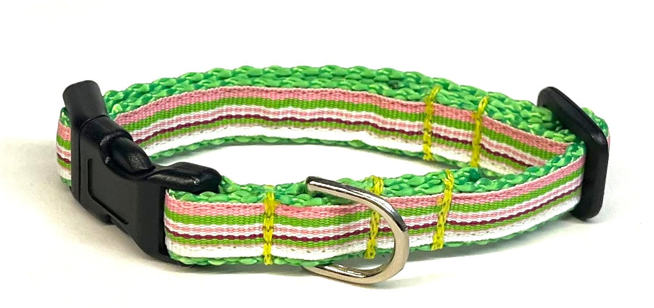 Pink, Green, White & Purple Stripe Dog Collar 1/2