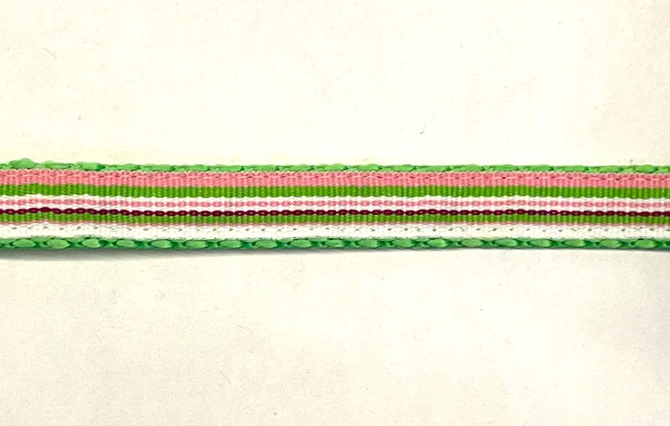 Pink, green, white, and purple stripe dog collar on green webbing