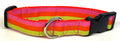 Pink, Orange, and Green Stripe Dog Collar 1in
