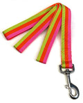 Pink, Orange, and Green Stripe Dog Leash 1in