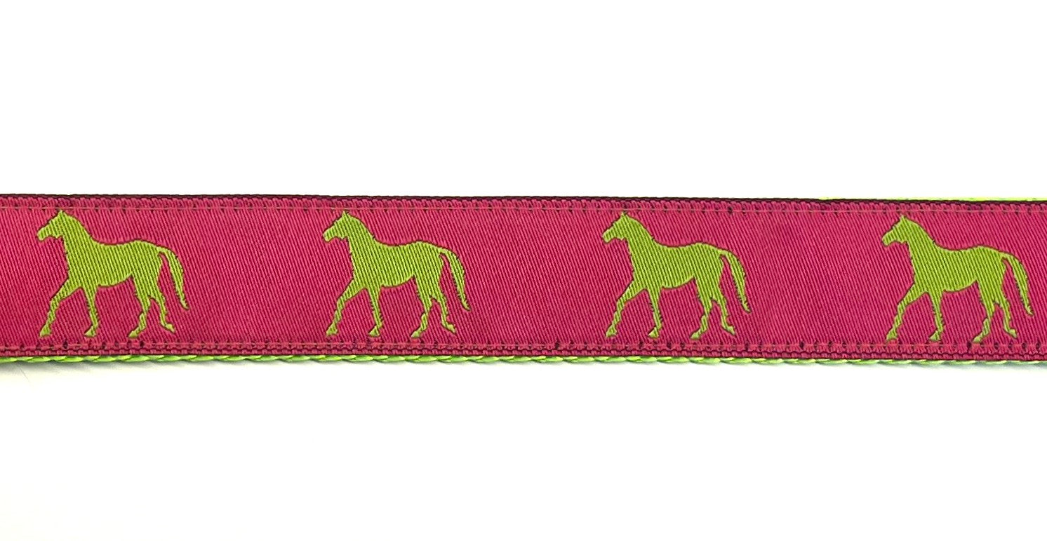 Pink with Green Horses Dog Leash 1in