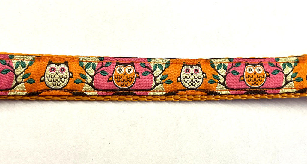 Pink and Orange with Owls Dog Leash 3/4