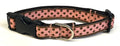 Pink with Brown Polka Dots Dog Collar 3/4