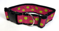 Pink with Lime Green Dots Dog Collar 2in