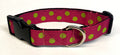 Pink with Lime Green Dots Dog Collar 1in