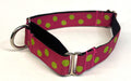 Pink with Lime Green Dots Martingale Collar 1in