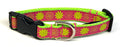 Pink with Lime Green Full and Outline Flowers Dog Collar 3/4