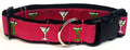 Pink with Martini Glasses Dog Collar 1 1/2 in