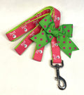 Pink with Pirate Skull & Crossbones Dog Leash 1in