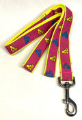 Pink with Yellow and Blue Flip Flops Dog Leash 1in