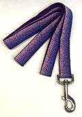 Purple Ombré Snake Skin Dog Leash 1in
