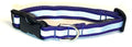 Purple Reflector Dog Collar 3/4
