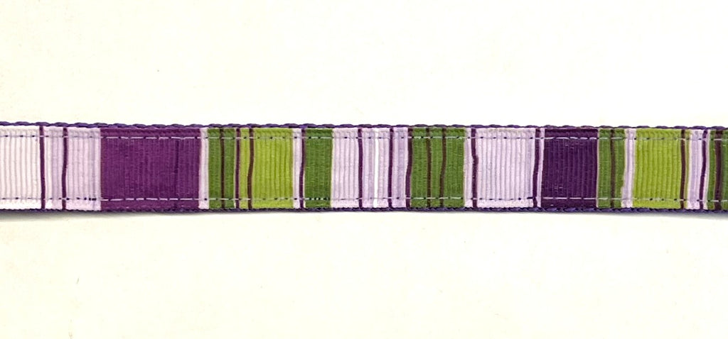 Purple, lavender, white, and green vertical stripe dog collar on purple webbing