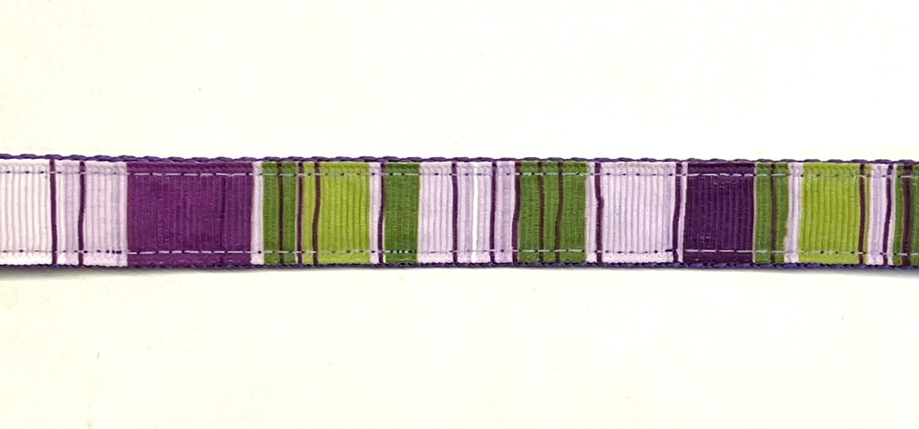 Purple, lavender, white, and green vertical stripe dog collar on purple webbing