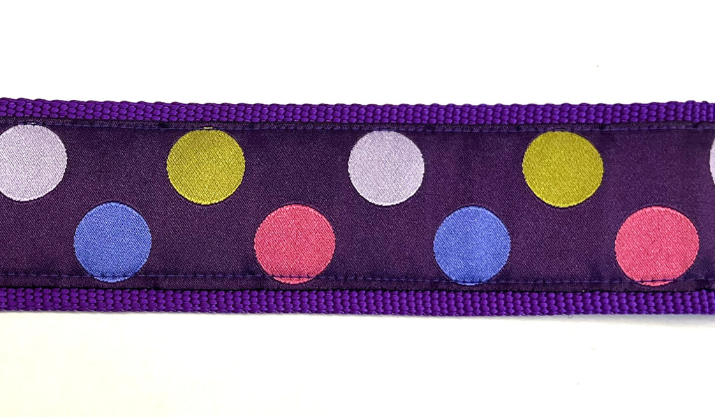 Purple with Lavender, Blue, Green, and Pink Dots Martingale Collar 2in