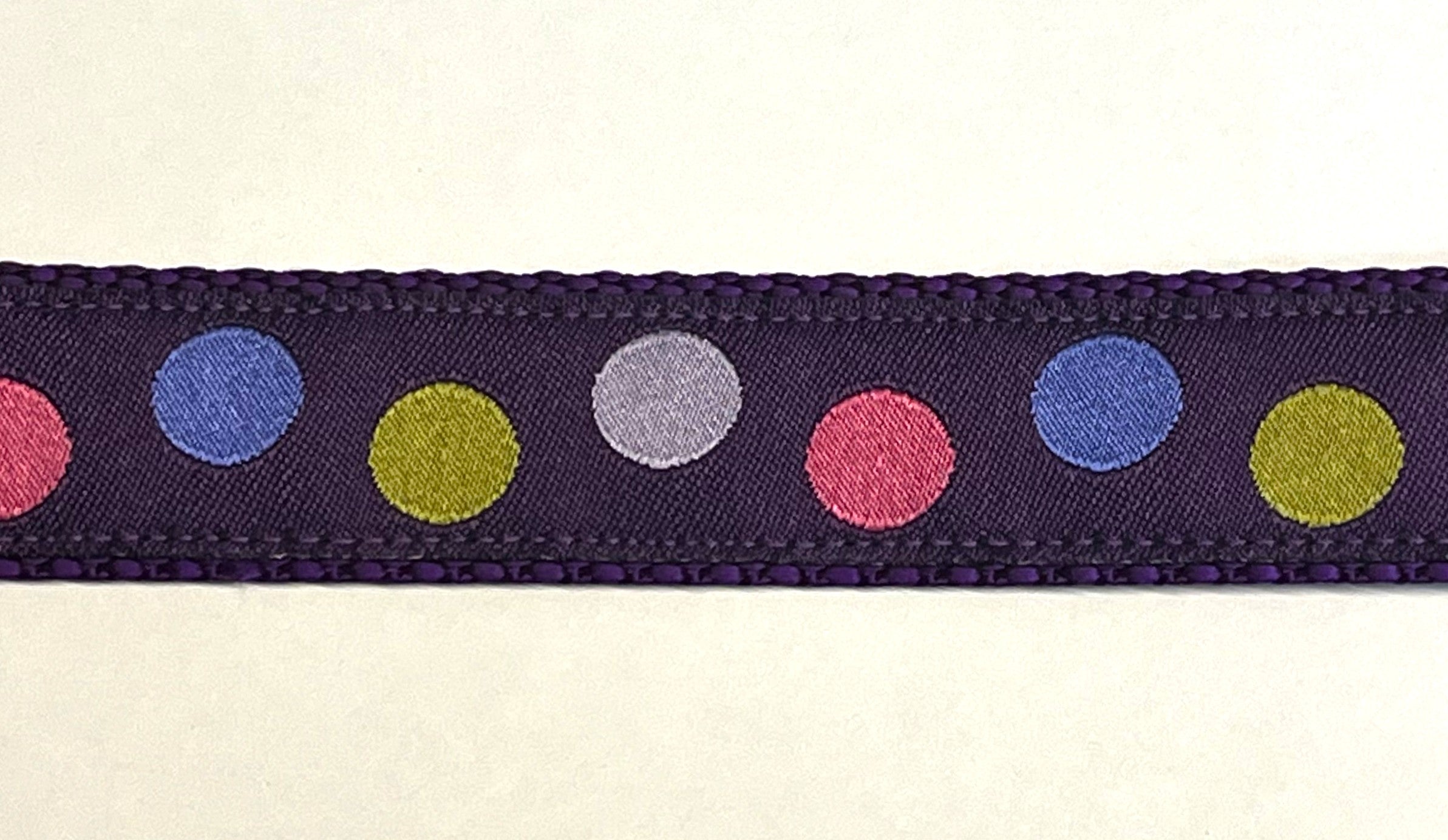 Purple with Pink, Green, Blue, and Lavender Dots Martingale Collar 1in