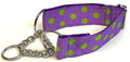 Purple with Lime Green Dots Chain Martingale Collar 1 1/2 in