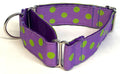 Purple with Lime Green Dots Martingale Collar 1 1/2 in